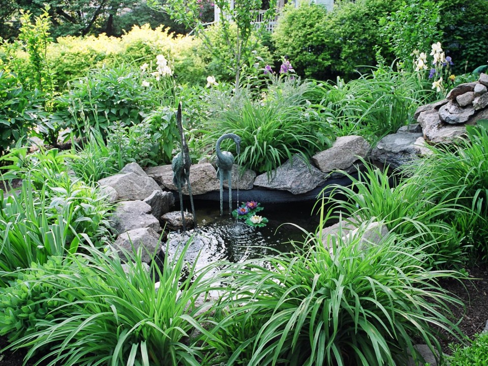 Small Meditation Pond