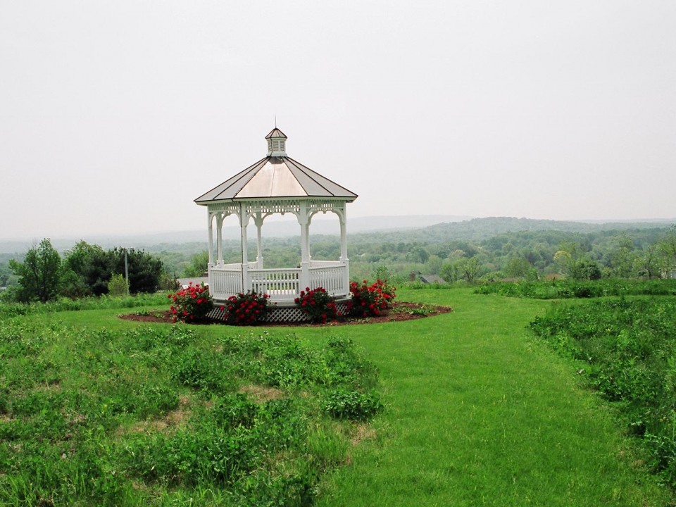 Wildflower Meadow with Gazebo Close-up