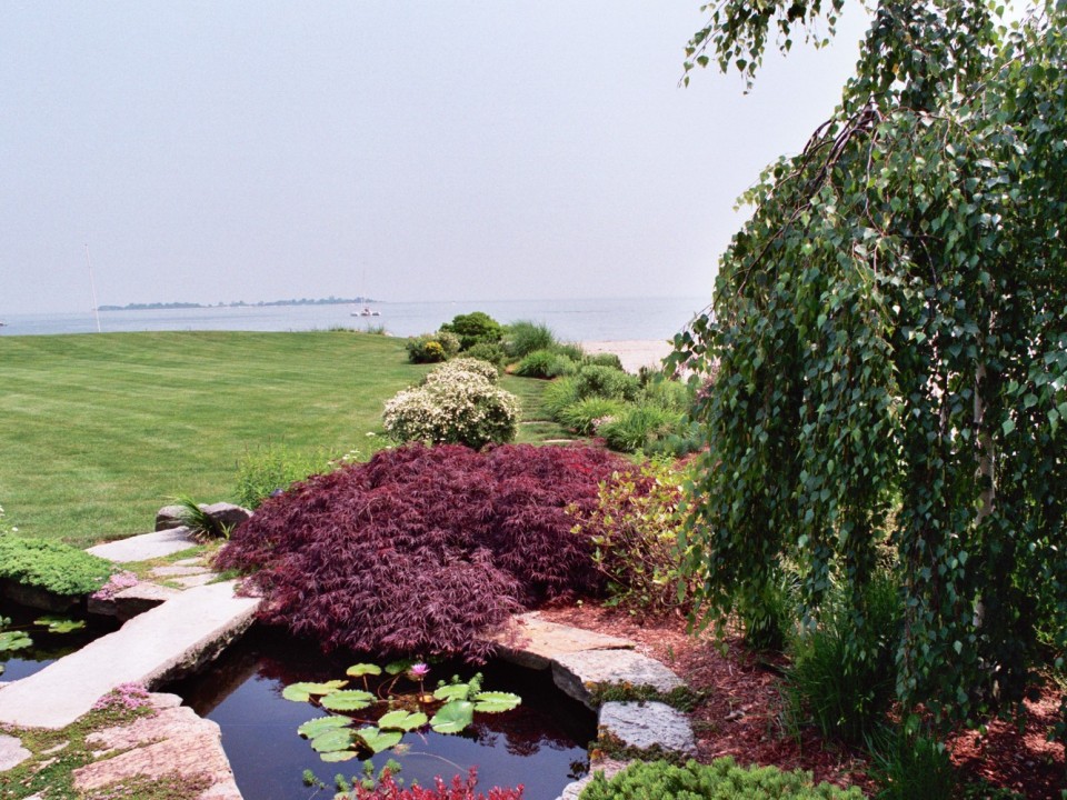 Small reflective pond with stepping stone path 