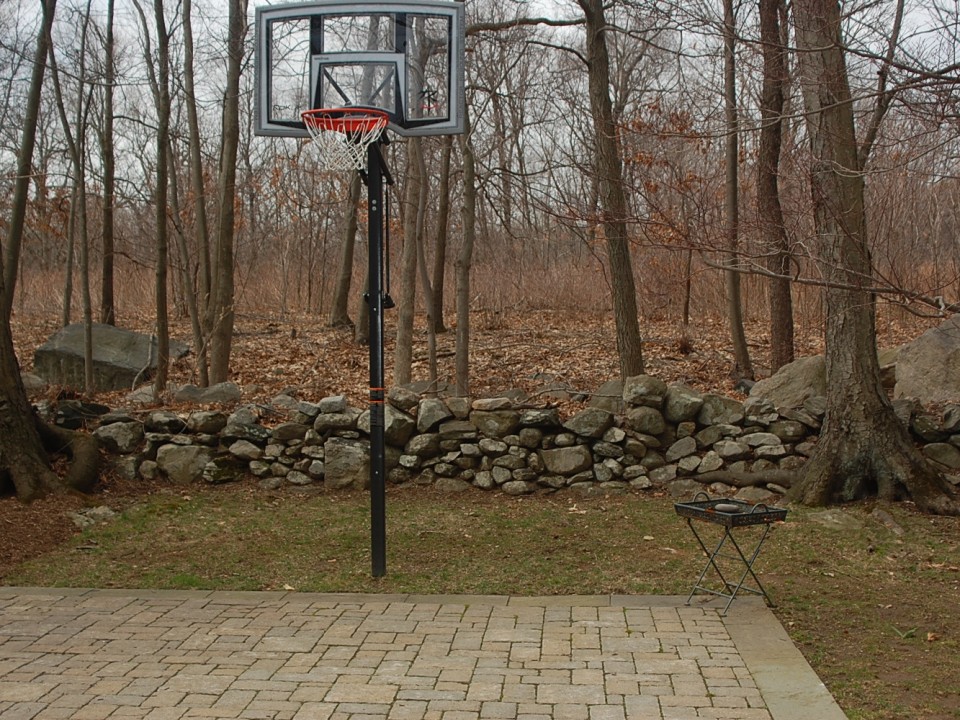 Backyard sports court