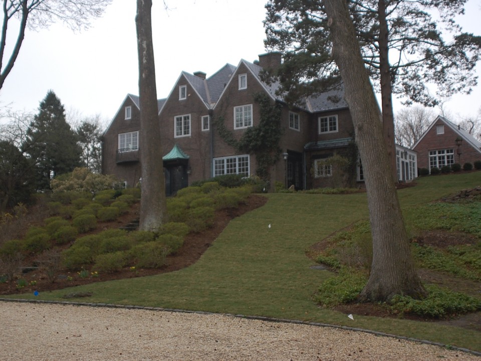 Freshly Installed Sod