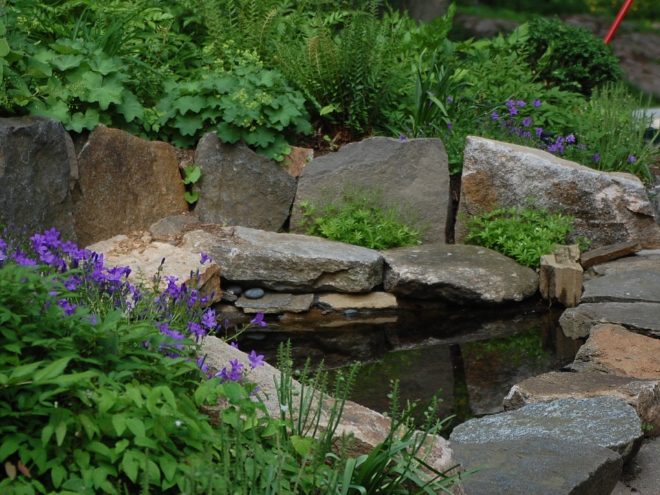 Small Pond and Perennial Garden