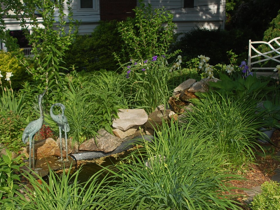 Meditation Pond 