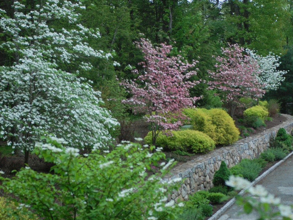 Fieldstone Wall with Perennial Plantings and Flowering Trees