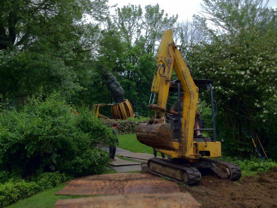 Sugar Maple Tree Planting