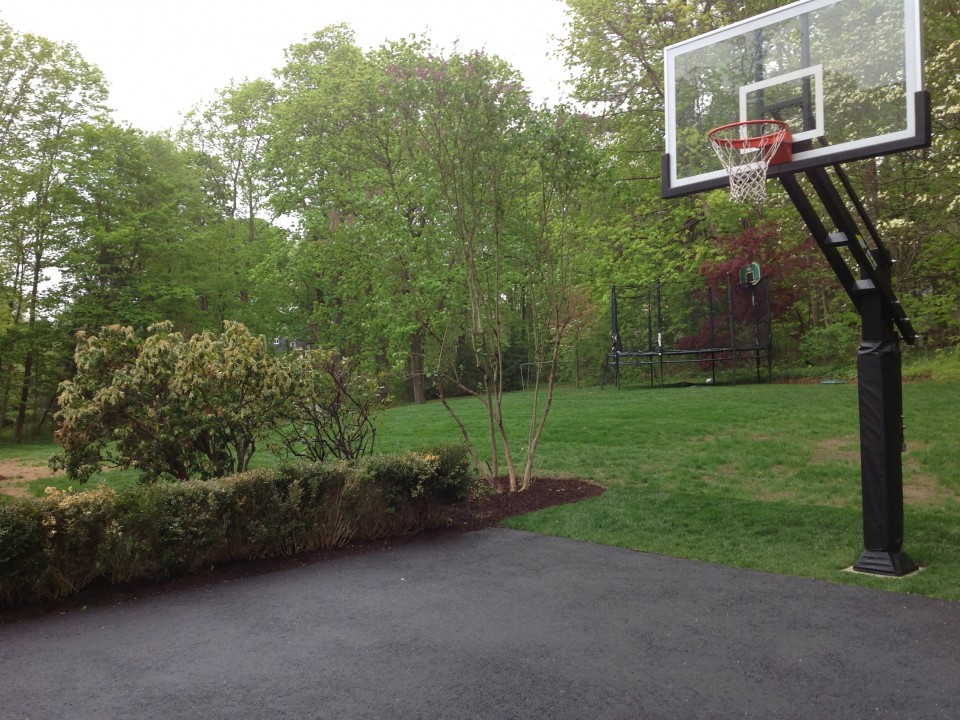 Basketball court