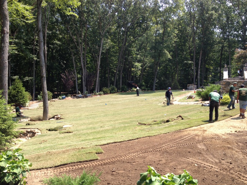 Sod Installation in Progress