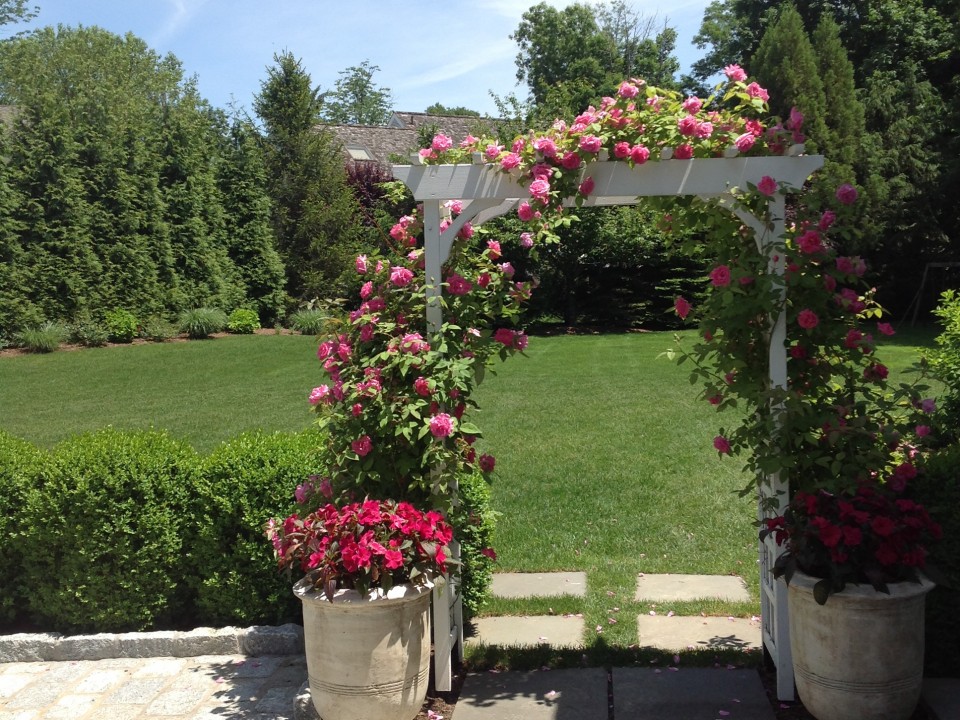 Rose Garden with trellis and summer planters