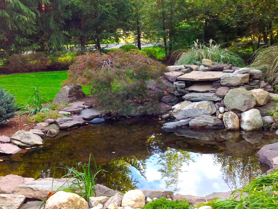 Koi pond