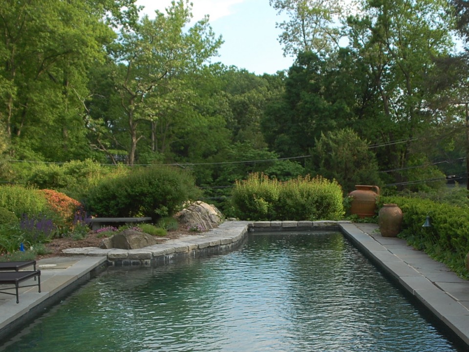 Bluestone pool deck with natural stone coping