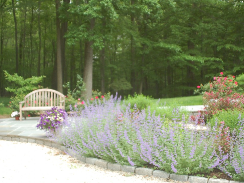 Front entry garden